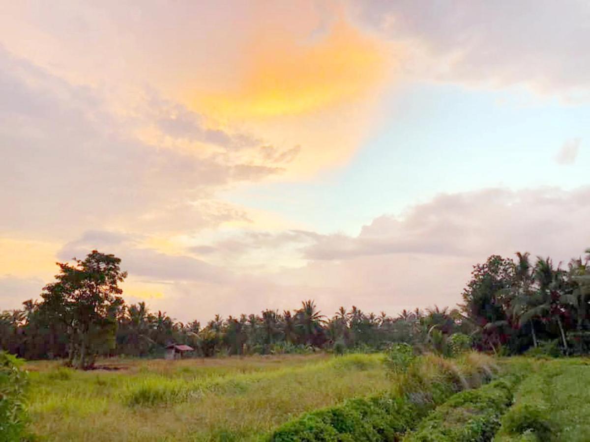 Shivananda Antique Villas By Eps Ubud Eksteriør bilde